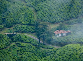 resorts in munnar