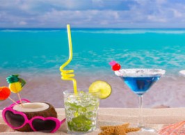 goa tourism